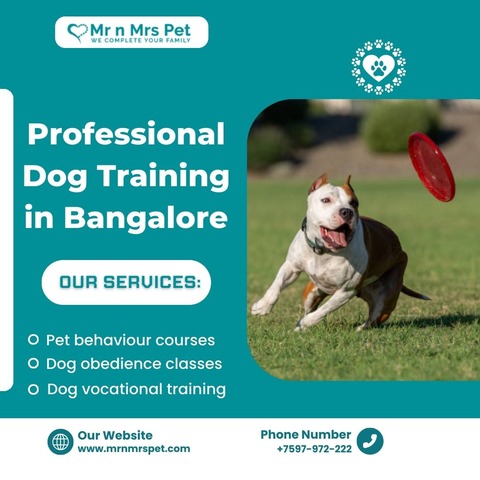 Best Dog Training in Bangalore at Reasonable Prices